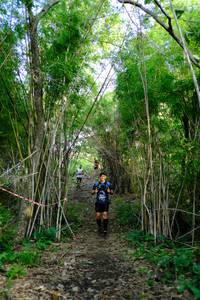 BIB: 
                            <button type="button" onclick="openModal(5139281)" class="btn btn-primary btn-sm float-right btn-popup" data-toggle="modal" data-target=".modal-high-quality">
                        <i class="fas fa-shopping-cart"></i> Add to Cart
                    </button>
                                            <button type="button" onclick="isThisMe(5139281, true)" class="btn btn-success btn-sm float-right btn-popup btn-isme hidden" data-toggle="tooltip" data-placement="bottom" title="นี่คือรูปของคุณใช่ไหม คลิกที่นี่เพื่อเอาเข้าอัลบั้ม">
                        <i class="fas fa-plus"></i> Add to album
                    </button>
                    <button type="button" onclick="isThisMe(5139281, false)" class="btn btn-warning btn-sm float-right btn-popup btn-isnotme hidden">
                        <i class="fas fa-ban"></i> Remove from album
                    </button>