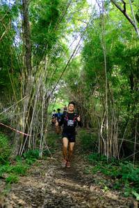 BIB: 
                            <button type="button" onclick="openModal(5139466)" class="btn btn-primary btn-sm float-right btn-popup" data-toggle="modal" data-target=".modal-high-quality">
                        <i class="fas fa-shopping-cart"></i> Add to Cart
                    </button>
                                            <button type="button" onclick="isThisMe(5139466, true)" class="btn btn-success btn-sm float-right btn-popup btn-isme hidden" data-toggle="tooltip" data-placement="bottom" title="นี่คือรูปของคุณใช่ไหม คลิกที่นี่เพื่อเอาเข้าอัลบั้ม">
                        <i class="fas fa-plus"></i> Add to album
                    </button>
                    <button type="button" onclick="isThisMe(5139466, false)" class="btn btn-warning btn-sm float-right btn-popup btn-isnotme hidden">
                        <i class="fas fa-ban"></i> Remove from album
                    </button>