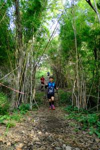 BIB: 
                            <button type="button" onclick="openModal(5139372)" class="btn btn-primary btn-sm float-right btn-popup" data-toggle="modal" data-target=".modal-high-quality">
                        <i class="fas fa-shopping-cart"></i> Add to Cart
                    </button>
                                            <button type="button" onclick="isThisMe(5139372, true)" class="btn btn-success btn-sm float-right btn-popup btn-isme hidden" data-toggle="tooltip" data-placement="bottom" title="นี่คือรูปของคุณใช่ไหม คลิกที่นี่เพื่อเอาเข้าอัลบั้ม">
                        <i class="fas fa-plus"></i> Add to album
                    </button>
                    <button type="button" onclick="isThisMe(5139372, false)" class="btn btn-warning btn-sm float-right btn-popup btn-isnotme hidden">
                        <i class="fas fa-ban"></i> Remove from album
                    </button>