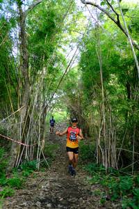 BIB: 
                            <button type="button" onclick="openModal(5139310)" class="btn btn-primary btn-sm float-right btn-popup" data-toggle="modal" data-target=".modal-high-quality">
                        <i class="fas fa-shopping-cart"></i> Add to Cart
                    </button>
                                            <button type="button" onclick="isThisMe(5139310, true)" class="btn btn-success btn-sm float-right btn-popup btn-isme hidden" data-toggle="tooltip" data-placement="bottom" title="นี่คือรูปของคุณใช่ไหม คลิกที่นี่เพื่อเอาเข้าอัลบั้ม">
                        <i class="fas fa-plus"></i> Add to album
                    </button>
                    <button type="button" onclick="isThisMe(5139310, false)" class="btn btn-warning btn-sm float-right btn-popup btn-isnotme hidden">
                        <i class="fas fa-ban"></i> Remove from album
                    </button>