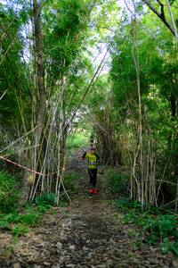 BIB: 
                            <button type="button" onclick="openModal(5139278)" class="btn btn-primary btn-sm float-right btn-popup" data-toggle="modal" data-target=".modal-high-quality">
                        <i class="fas fa-shopping-cart"></i> Add to Cart
                    </button>
                                            <button type="button" onclick="isThisMe(5139278, true)" class="btn btn-success btn-sm float-right btn-popup btn-isme hidden" data-toggle="tooltip" data-placement="bottom" title="นี่คือรูปของคุณใช่ไหม คลิกที่นี่เพื่อเอาเข้าอัลบั้ม">
                        <i class="fas fa-plus"></i> Add to album
                    </button>
                    <button type="button" onclick="isThisMe(5139278, false)" class="btn btn-warning btn-sm float-right btn-popup btn-isnotme hidden">
                        <i class="fas fa-ban"></i> Remove from album
                    </button>