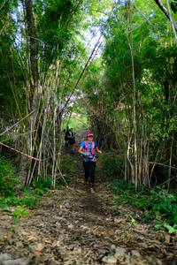 BIB: 
                            <button type="button" onclick="openModal(5139483)" class="btn btn-primary btn-sm float-right btn-popup" data-toggle="modal" data-target=".modal-high-quality">
                        <i class="fas fa-shopping-cart"></i> Add to Cart
                    </button>
                                            <button type="button" onclick="isThisMe(5139483, true)" class="btn btn-success btn-sm float-right btn-popup btn-isme hidden" data-toggle="tooltip" data-placement="bottom" title="นี่คือรูปของคุณใช่ไหม คลิกที่นี่เพื่อเอาเข้าอัลบั้ม">
                        <i class="fas fa-plus"></i> Add to album
                    </button>
                    <button type="button" onclick="isThisMe(5139483, false)" class="btn btn-warning btn-sm float-right btn-popup btn-isnotme hidden">
                        <i class="fas fa-ban"></i> Remove from album
                    </button>