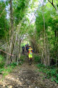 BIB: 
                            <button type="button" onclick="openModal(5139356)" class="btn btn-primary btn-sm float-right btn-popup" data-toggle="modal" data-target=".modal-high-quality">
                        <i class="fas fa-shopping-cart"></i> Add to Cart
                    </button>
                                            <button type="button" onclick="isThisMe(5139356, true)" class="btn btn-success btn-sm float-right btn-popup btn-isme hidden" data-toggle="tooltip" data-placement="bottom" title="นี่คือรูปของคุณใช่ไหม คลิกที่นี่เพื่อเอาเข้าอัลบั้ม">
                        <i class="fas fa-plus"></i> Add to album
                    </button>
                    <button type="button" onclick="isThisMe(5139356, false)" class="btn btn-warning btn-sm float-right btn-popup btn-isnotme hidden">
                        <i class="fas fa-ban"></i> Remove from album
                    </button>