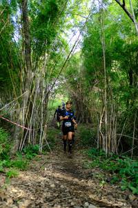 BIB: 
                            <button type="button" onclick="openModal(5139432)" class="btn btn-primary btn-sm float-right btn-popup" data-toggle="modal" data-target=".modal-high-quality">
                        <i class="fas fa-shopping-cart"></i> Add to Cart
                    </button>
                                            <button type="button" onclick="isThisMe(5139432, true)" class="btn btn-success btn-sm float-right btn-popup btn-isme hidden" data-toggle="tooltip" data-placement="bottom" title="นี่คือรูปของคุณใช่ไหม คลิกที่นี่เพื่อเอาเข้าอัลบั้ม">
                        <i class="fas fa-plus"></i> Add to album
                    </button>
                    <button type="button" onclick="isThisMe(5139432, false)" class="btn btn-warning btn-sm float-right btn-popup btn-isnotme hidden">
                        <i class="fas fa-ban"></i> Remove from album
                    </button>