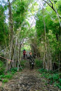 BIB: 
                            <button type="button" onclick="openModal(5139275)" class="btn btn-primary btn-sm float-right btn-popup" data-toggle="modal" data-target=".modal-high-quality">
                        <i class="fas fa-shopping-cart"></i> Add to Cart
                    </button>
                                            <button type="button" onclick="isThisMe(5139275, true)" class="btn btn-success btn-sm float-right btn-popup btn-isme hidden" data-toggle="tooltip" data-placement="bottom" title="นี่คือรูปของคุณใช่ไหม คลิกที่นี่เพื่อเอาเข้าอัลบั้ม">
                        <i class="fas fa-plus"></i> Add to album
                    </button>
                    <button type="button" onclick="isThisMe(5139275, false)" class="btn btn-warning btn-sm float-right btn-popup btn-isnotme hidden">
                        <i class="fas fa-ban"></i> Remove from album
                    </button>