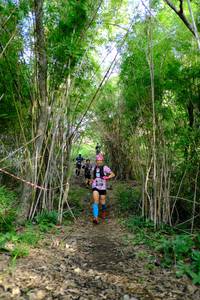 BIB: 
                            <button type="button" onclick="openModal(5139381)" class="btn btn-primary btn-sm float-right btn-popup" data-toggle="modal" data-target=".modal-high-quality">
                        <i class="fas fa-shopping-cart"></i> Add to Cart
                    </button>
                                            <button type="button" onclick="isThisMe(5139381, true)" class="btn btn-success btn-sm float-right btn-popup btn-isme hidden" data-toggle="tooltip" data-placement="bottom" title="นี่คือรูปของคุณใช่ไหม คลิกที่นี่เพื่อเอาเข้าอัลบั้ม">
                        <i class="fas fa-plus"></i> Add to album
                    </button>
                    <button type="button" onclick="isThisMe(5139381, false)" class="btn btn-warning btn-sm float-right btn-popup btn-isnotme hidden">
                        <i class="fas fa-ban"></i> Remove from album
                    </button>