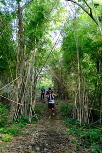 BIB: 
                            <button type="button" onclick="openModal(5139315)" class="btn btn-primary btn-sm float-right btn-popup" data-toggle="modal" data-target=".modal-high-quality">
                        <i class="fas fa-shopping-cart"></i> Add to Cart
                    </button>
                                            <button type="button" onclick="isThisMe(5139315, true)" class="btn btn-success btn-sm float-right btn-popup btn-isme hidden" data-toggle="tooltip" data-placement="bottom" title="นี่คือรูปของคุณใช่ไหม คลิกที่นี่เพื่อเอาเข้าอัลบั้ม">
                        <i class="fas fa-plus"></i> Add to album
                    </button>
                    <button type="button" onclick="isThisMe(5139315, false)" class="btn btn-warning btn-sm float-right btn-popup btn-isnotme hidden">
                        <i class="fas fa-ban"></i> Remove from album
                    </button>