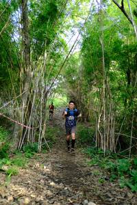 BIB: 
                            <button type="button" onclick="openModal(5139382)" class="btn btn-primary btn-sm float-right btn-popup" data-toggle="modal" data-target=".modal-high-quality">
                        <i class="fas fa-shopping-cart"></i> Add to Cart
                    </button>
                                            <button type="button" onclick="isThisMe(5139382, true)" class="btn btn-success btn-sm float-right btn-popup btn-isme hidden" data-toggle="tooltip" data-placement="bottom" title="นี่คือรูปของคุณใช่ไหม คลิกที่นี่เพื่อเอาเข้าอัลบั้ม">
                        <i class="fas fa-plus"></i> Add to album
                    </button>
                    <button type="button" onclick="isThisMe(5139382, false)" class="btn btn-warning btn-sm float-right btn-popup btn-isnotme hidden">
                        <i class="fas fa-ban"></i> Remove from album
                    </button>