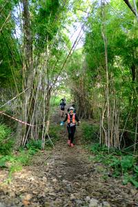 BIB: 
                            <button type="button" onclick="openModal(5139346)" class="btn btn-primary btn-sm float-right btn-popup" data-toggle="modal" data-target=".modal-high-quality">
                        <i class="fas fa-shopping-cart"></i> Add to Cart
                    </button>
                                            <button type="button" onclick="isThisMe(5139346, true)" class="btn btn-success btn-sm float-right btn-popup btn-isme hidden" data-toggle="tooltip" data-placement="bottom" title="นี่คือรูปของคุณใช่ไหม คลิกที่นี่เพื่อเอาเข้าอัลบั้ม">
                        <i class="fas fa-plus"></i> Add to album
                    </button>
                    <button type="button" onclick="isThisMe(5139346, false)" class="btn btn-warning btn-sm float-right btn-popup btn-isnotme hidden">
                        <i class="fas fa-ban"></i> Remove from album
                    </button>