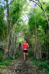 BIB: 
                            <button type="button" onclick="openModal(5139261)" class="btn btn-primary btn-sm float-right btn-popup" data-toggle="modal" data-target=".modal-high-quality">
                        <i class="fas fa-shopping-cart"></i> Add to Cart
                    </button>
                                            <button type="button" onclick="isThisMe(5139261, true)" class="btn btn-success btn-sm float-right btn-popup btn-isme hidden" data-toggle="tooltip" data-placement="bottom" title="นี่คือรูปของคุณใช่ไหม คลิกที่นี่เพื่อเอาเข้าอัลบั้ม">
                        <i class="fas fa-plus"></i> Add to album
                    </button>
                    <button type="button" onclick="isThisMe(5139261, false)" class="btn btn-warning btn-sm float-right btn-popup btn-isnotme hidden">
                        <i class="fas fa-ban"></i> Remove from album
                    </button>