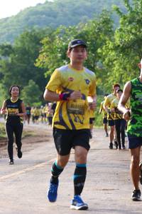 BIB: 
                            <button type="button" onclick="openModal(5050911)" class="btn btn-primary btn-sm float-right btn-popup" data-toggle="modal" data-target=".modal-high-quality">
                        <i class="fas fa-shopping-cart"></i> Add to Cart
                    </button>
                                            <button type="button" onclick="isThisMe(5050911, true)" class="btn btn-success btn-sm float-right btn-popup btn-isme hidden" data-toggle="tooltip" data-placement="bottom" title="นี่คือรูปของคุณใช่ไหม คลิกที่นี่เพื่อเอาเข้าอัลบั้ม">
                        <i class="fas fa-plus"></i> Add to album
                    </button>
                    <button type="button" onclick="isThisMe(5050911, false)" class="btn btn-warning btn-sm float-right btn-popup btn-isnotme hidden">
                        <i class="fas fa-ban"></i> Remove from album
                    </button>