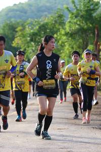 BIB: 
                            <button type="button" onclick="openModal(5061180)" class="btn btn-primary btn-sm float-right btn-popup" data-toggle="modal" data-target=".modal-high-quality">
                        <i class="fas fa-shopping-cart"></i> Add to Cart
                    </button>
                                            <button type="button" onclick="isThisMe(5061180, true)" class="btn btn-success btn-sm float-right btn-popup btn-isme hidden" data-toggle="tooltip" data-placement="bottom" title="นี่คือรูปของคุณใช่ไหม คลิกที่นี่เพื่อเอาเข้าอัลบั้ม">
                        <i class="fas fa-plus"></i> Add to album
                    </button>
                    <button type="button" onclick="isThisMe(5061180, false)" class="btn btn-warning btn-sm float-right btn-popup btn-isnotme hidden">
                        <i class="fas fa-ban"></i> Remove from album
                    </button>