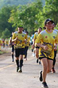 BIB: 542
                            <button type="button" onclick="openModal(5047990)" class="btn btn-primary btn-sm float-right btn-popup" data-toggle="modal" data-target=".modal-high-quality">
                        <i class="fas fa-shopping-cart"></i> Add to Cart
                    </button>
                                            <button type="button" onclick="isThisMe(5047990, true)" class="btn btn-success btn-sm float-right btn-popup btn-isme hidden" data-toggle="tooltip" data-placement="bottom" title="นี่คือรูปของคุณใช่ไหม คลิกที่นี่เพื่อเอาเข้าอัลบั้ม">
                        <i class="fas fa-plus"></i> Add to album
                    </button>
                    <button type="button" onclick="isThisMe(5047990, false)" class="btn btn-warning btn-sm float-right btn-popup btn-isnotme hidden">
                        <i class="fas fa-ban"></i> Remove from album
                    </button>