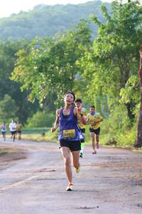 BIB: 
                            <button type="button" onclick="openModal(4950394)" class="btn btn-primary btn-sm float-right btn-popup" data-toggle="modal" data-target=".modal-high-quality">
                        <i class="fas fa-shopping-cart"></i> Add to Cart
                    </button>
                                            <button type="button" onclick="isThisMe(4950394, true)" class="btn btn-success btn-sm float-right btn-popup btn-isme hidden" data-toggle="tooltip" data-placement="bottom" title="นี่คือรูปของคุณใช่ไหม คลิกที่นี่เพื่อเอาเข้าอัลบั้ม">
                        <i class="fas fa-plus"></i> Add to album
                    </button>
                    <button type="button" onclick="isThisMe(4950394, false)" class="btn btn-warning btn-sm float-right btn-popup btn-isnotme hidden">
                        <i class="fas fa-ban"></i> Remove from album
                    </button>