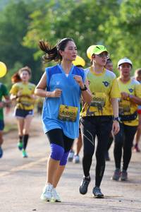 BIB: 0052, 0005
                            <button type="button" onclick="openModal(5070721)" class="btn btn-primary btn-sm float-right btn-popup" data-toggle="modal" data-target=".modal-high-quality">
                        <i class="fas fa-shopping-cart"></i> Add to Cart
                    </button>
                                            <button type="button" onclick="isThisMe(5070721, true)" class="btn btn-success btn-sm float-right btn-popup btn-isme hidden" data-toggle="tooltip" data-placement="bottom" title="นี่คือรูปของคุณใช่ไหม คลิกที่นี่เพื่อเอาเข้าอัลบั้ม">
                        <i class="fas fa-plus"></i> Add to album
                    </button>
                    <button type="button" onclick="isThisMe(5070721, false)" class="btn btn-warning btn-sm float-right btn-popup btn-isnotme hidden">
                        <i class="fas fa-ban"></i> Remove from album
                    </button>