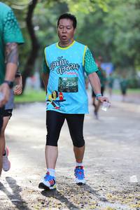 BIB: 236
                            <button type="button" onclick="openModal(5176368)" class="btn btn-primary btn-sm float-right btn-popup" data-toggle="modal" data-target=".modal-high-quality">
                        <i class="fas fa-shopping-cart"></i> Add to Cart
                    </button>
                                            <button type="button" onclick="isThisMe(5176368, true)" class="btn btn-success btn-sm float-right btn-popup btn-isme hidden" data-toggle="tooltip" data-placement="bottom" title="นี่คือรูปของคุณใช่ไหม คลิกที่นี่เพื่อเอาเข้าอัลบั้ม">
                        <i class="fas fa-plus"></i> Add to album
                    </button>
                    <button type="button" onclick="isThisMe(5176368, false)" class="btn btn-warning btn-sm float-right btn-popup btn-isnotme hidden">
                        <i class="fas fa-ban"></i> Remove from album
                    </button>