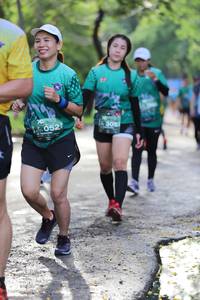 BIB: 305, 052
                            <button type="button" onclick="openModal(5178215)" class="btn btn-primary btn-sm float-right btn-popup" data-toggle="modal" data-target=".modal-high-quality">
                        <i class="fas fa-shopping-cart"></i> Add to Cart
                    </button>
                                            <button type="button" onclick="isThisMe(5178215, true)" class="btn btn-success btn-sm float-right btn-popup btn-isme hidden" data-toggle="tooltip" data-placement="bottom" title="นี่คือรูปของคุณใช่ไหม คลิกที่นี่เพื่อเอาเข้าอัลบั้ม">
                        <i class="fas fa-plus"></i> Add to album
                    </button>
                    <button type="button" onclick="isThisMe(5178215, false)" class="btn btn-warning btn-sm float-right btn-popup btn-isnotme hidden">
                        <i class="fas fa-ban"></i> Remove from album
                    </button>