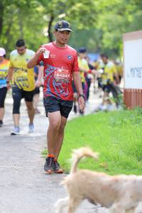 BIB: 0247
                            <button type="button" onclick="openModal(5181573)" class="btn btn-primary btn-sm float-right btn-popup" data-toggle="modal" data-target=".modal-high-quality">
                        <i class="fas fa-shopping-cart"></i> Add to Cart
                    </button>
                                            <button type="button" onclick="isThisMe(5181573, true)" class="btn btn-success btn-sm float-right btn-popup btn-isme hidden" data-toggle="tooltip" data-placement="bottom" title="นี่คือรูปของคุณใช่ไหม คลิกที่นี่เพื่อเอาเข้าอัลบั้ม">
                        <i class="fas fa-plus"></i> Add to album
                    </button>
                    <button type="button" onclick="isThisMe(5181573, false)" class="btn btn-warning btn-sm float-right btn-popup btn-isnotme hidden">
                        <i class="fas fa-ban"></i> Remove from album
                    </button>
