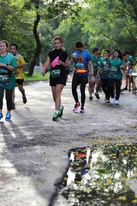 BIB: 
                            <button type="button" onclick="openModal(5178010)" class="btn btn-primary btn-sm float-right btn-popup" data-toggle="modal" data-target=".modal-high-quality">
                        <i class="fas fa-shopping-cart"></i> Add to Cart
                    </button>
                                            <button type="button" onclick="isThisMe(5178010, true)" class="btn btn-success btn-sm float-right btn-popup btn-isme hidden" data-toggle="tooltip" data-placement="bottom" title="นี่คือรูปของคุณใช่ไหม คลิกที่นี่เพื่อเอาเข้าอัลบั้ม">
                        <i class="fas fa-plus"></i> Add to album
                    </button>
                    <button type="button" onclick="isThisMe(5178010, false)" class="btn btn-warning btn-sm float-right btn-popup btn-isnotme hidden">
                        <i class="fas fa-ban"></i> Remove from album
                    </button>