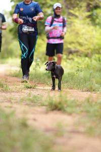 BIB: 
                            <button type="button" onclick="openModal(5030195)" class="btn btn-primary btn-sm float-right btn-popup" data-toggle="modal" data-target=".modal-high-quality">
                        <i class="fas fa-shopping-cart"></i> Add to Cart
                    </button>
                                            <button type="button" onclick="isThisMe(5030195, true)" class="btn btn-success btn-sm float-right btn-popup btn-isme hidden" data-toggle="tooltip" data-placement="bottom" title="นี่คือรูปของคุณใช่ไหม คลิกที่นี่เพื่อเอาเข้าอัลบั้ม">
                        <i class="fas fa-plus"></i> Add to album
                    </button>
                    <button type="button" onclick="isThisMe(5030195, false)" class="btn btn-warning btn-sm float-right btn-popup btn-isnotme hidden">
                        <i class="fas fa-ban"></i> Remove from album
                    </button>