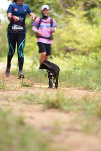 BIB: 
                            <button type="button" onclick="openModal(5030190)" class="btn btn-primary btn-sm float-right btn-popup" data-toggle="modal" data-target=".modal-high-quality">
                        <i class="fas fa-shopping-cart"></i> Add to Cart
                    </button>
                                            <button type="button" onclick="isThisMe(5030190, true)" class="btn btn-success btn-sm float-right btn-popup btn-isme hidden" data-toggle="tooltip" data-placement="bottom" title="นี่คือรูปของคุณใช่ไหม คลิกที่นี่เพื่อเอาเข้าอัลบั้ม">
                        <i class="fas fa-plus"></i> Add to album
                    </button>
                    <button type="button" onclick="isThisMe(5030190, false)" class="btn btn-warning btn-sm float-right btn-popup btn-isnotme hidden">
                        <i class="fas fa-ban"></i> Remove from album
                    </button>