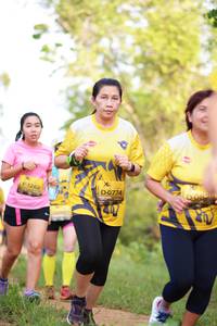 BIB: 1262, 0774, 
                            <button type="button" onclick="openModal(4981545)" class="btn btn-primary btn-sm float-right btn-popup" data-toggle="modal" data-target=".modal-high-quality">
                        <i class="fas fa-shopping-cart"></i> Add to Cart
                    </button>
                                            <button type="button" onclick="isThisMe(4981545, true)" class="btn btn-success btn-sm float-right btn-popup btn-isme hidden" data-toggle="tooltip" data-placement="bottom" title="นี่คือรูปของคุณใช่ไหม คลิกที่นี่เพื่อเอาเข้าอัลบั้ม">
                        <i class="fas fa-plus"></i> Add to album
                    </button>
                    <button type="button" onclick="isThisMe(4981545, false)" class="btn btn-warning btn-sm float-right btn-popup btn-isnotme hidden">
                        <i class="fas fa-ban"></i> Remove from album
                    </button>