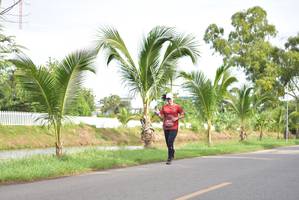 BIB: 
                            <button type="button" onclick="openModal(5143251)" class="btn btn-primary btn-sm float-right btn-popup" data-toggle="modal" data-target=".modal-high-quality">
                        <i class="fas fa-shopping-cart"></i> Add to Cart
                    </button>
                                            <button type="button" onclick="isThisMe(5143251, true)" class="btn btn-success btn-sm float-right btn-popup btn-isme hidden" data-toggle="tooltip" data-placement="bottom" title="นี่คือรูปของคุณใช่ไหม คลิกที่นี่เพื่อเอาเข้าอัลบั้ม">
                        <i class="fas fa-plus"></i> Add to album
                    </button>
                    <button type="button" onclick="isThisMe(5143251, false)" class="btn btn-warning btn-sm float-right btn-popup btn-isnotme hidden">
                        <i class="fas fa-ban"></i> Remove from album
                    </button>