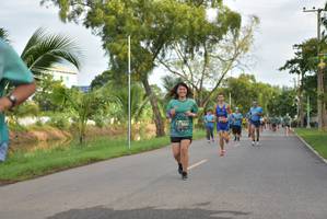 BIB: 
                            <button type="button" onclick="openModal(5097116)" class="btn btn-primary btn-sm float-right btn-popup" data-toggle="modal" data-target=".modal-high-quality">
                        <i class="fas fa-shopping-cart"></i> Add to Cart
                    </button>
                                            <button type="button" onclick="isThisMe(5097116, true)" class="btn btn-success btn-sm float-right btn-popup btn-isme hidden" data-toggle="tooltip" data-placement="bottom" title="นี่คือรูปของคุณใช่ไหม คลิกที่นี่เพื่อเอาเข้าอัลบั้ม">
                        <i class="fas fa-plus"></i> Add to album
                    </button>
                    <button type="button" onclick="isThisMe(5097116, false)" class="btn btn-warning btn-sm float-right btn-popup btn-isnotme hidden">
                        <i class="fas fa-ban"></i> Remove from album
                    </button>