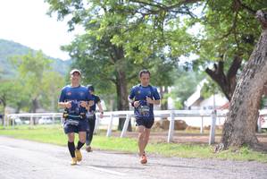 BIB: 
                            <button type="button" onclick="openModal(5049704)" class="btn btn-primary btn-sm float-right btn-popup" data-toggle="modal" data-target=".modal-high-quality">
                        <i class="fas fa-shopping-cart"></i> Add to Cart
                    </button>
                                            <button type="button" onclick="isThisMe(5049704, true)" class="btn btn-success btn-sm float-right btn-popup btn-isme hidden" data-toggle="tooltip" data-placement="bottom" title="นี่คือรูปของคุณใช่ไหม คลิกที่นี่เพื่อเอาเข้าอัลบั้ม">
                        <i class="fas fa-plus"></i> Add to album
                    </button>
                    <button type="button" onclick="isThisMe(5049704, false)" class="btn btn-warning btn-sm float-right btn-popup btn-isnotme hidden">
                        <i class="fas fa-ban"></i> Remove from album
                    </button>