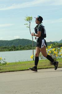 BIB: 
                            <button type="button" onclick="openModal(4956807)" class="btn btn-primary btn-sm float-right btn-popup" data-toggle="modal" data-target=".modal-high-quality">
                        <i class="fas fa-shopping-cart"></i> Add to Cart
                    </button>
                                            <button type="button" onclick="isThisMe(4956807, true)" class="btn btn-success btn-sm float-right btn-popup btn-isme hidden" data-toggle="tooltip" data-placement="bottom" title="นี่คือรูปของคุณใช่ไหม คลิกที่นี่เพื่อเอาเข้าอัลบั้ม">
                        <i class="fas fa-plus"></i> Add to album
                    </button>
                    <button type="button" onclick="isThisMe(4956807, false)" class="btn btn-warning btn-sm float-right btn-popup btn-isnotme hidden">
                        <i class="fas fa-ban"></i> Remove from album
                    </button>