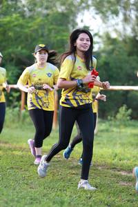 BIB: 
                            <button type="button" onclick="openModal(4962229)" class="btn btn-primary btn-sm float-right btn-popup" data-toggle="modal" data-target=".modal-high-quality">
                        <i class="fas fa-shopping-cart"></i> Add to Cart
                    </button>
                                            <button type="button" onclick="isThisMe(4962229, true)" class="btn btn-success btn-sm float-right btn-popup btn-isme hidden" data-toggle="tooltip" data-placement="bottom" title="นี่คือรูปของคุณใช่ไหม คลิกที่นี่เพื่อเอาเข้าอัลบั้ม">
                        <i class="fas fa-plus"></i> Add to album
                    </button>
                    <button type="button" onclick="isThisMe(4962229, false)" class="btn btn-warning btn-sm float-right btn-popup btn-isnotme hidden">
                        <i class="fas fa-ban"></i> Remove from album
                    </button>