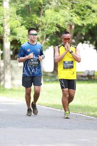 BIB: 0569, 568
                            <button type="button" onclick="openModal(5012013)" class="btn btn-primary btn-sm float-right btn-popup" data-toggle="modal" data-target=".modal-high-quality">
                        <i class="fas fa-shopping-cart"></i> Add to Cart
                    </button>
                                            <button type="button" onclick="isThisMe(5012013, true)" class="btn btn-success btn-sm float-right btn-popup btn-isme hidden" data-toggle="tooltip" data-placement="bottom" title="นี่คือรูปของคุณใช่ไหม คลิกที่นี่เพื่อเอาเข้าอัลบั้ม">
                        <i class="fas fa-plus"></i> Add to album
                    </button>
                    <button type="button" onclick="isThisMe(5012013, false)" class="btn btn-warning btn-sm float-right btn-popup btn-isnotme hidden">
                        <i class="fas fa-ban"></i> Remove from album
                    </button>