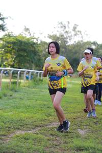 BIB: 
                            <button type="button" onclick="openModal(4925733)" class="btn btn-primary btn-sm float-right btn-popup" data-toggle="modal" data-target=".modal-high-quality">
                        <i class="fas fa-shopping-cart"></i> Add to Cart
                    </button>
                                            <button type="button" onclick="isThisMe(4925733, true)" class="btn btn-success btn-sm float-right btn-popup btn-isme hidden" data-toggle="tooltip" data-placement="bottom" title="นี่คือรูปของคุณใช่ไหม คลิกที่นี่เพื่อเอาเข้าอัลบั้ม">
                        <i class="fas fa-plus"></i> Add to album
                    </button>
                    <button type="button" onclick="isThisMe(4925733, false)" class="btn btn-warning btn-sm float-right btn-popup btn-isnotme hidden">
                        <i class="fas fa-ban"></i> Remove from album
                    </button>