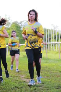 BIB: 1005
                            <button type="button" onclick="openModal(4925632)" class="btn btn-primary btn-sm float-right btn-popup" data-toggle="modal" data-target=".modal-high-quality">
                        <i class="fas fa-shopping-cart"></i> Add to Cart
                    </button>
                                            <button type="button" onclick="isThisMe(4925632, true)" class="btn btn-success btn-sm float-right btn-popup btn-isme hidden" data-toggle="tooltip" data-placement="bottom" title="นี่คือรูปของคุณใช่ไหม คลิกที่นี่เพื่อเอาเข้าอัลบั้ม">
                        <i class="fas fa-plus"></i> Add to album
                    </button>
                    <button type="button" onclick="isThisMe(4925632, false)" class="btn btn-warning btn-sm float-right btn-popup btn-isnotme hidden">
                        <i class="fas fa-ban"></i> Remove from album
                    </button>