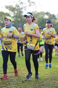 BIB: 0376, 0063
                            <button type="button" onclick="openModal(4933864)" class="btn btn-primary btn-sm float-right btn-popup" data-toggle="modal" data-target=".modal-high-quality">
                        <i class="fas fa-shopping-cart"></i> Add to Cart
                    </button>
                                            <button type="button" onclick="isThisMe(4933864, true)" class="btn btn-success btn-sm float-right btn-popup btn-isme hidden" data-toggle="tooltip" data-placement="bottom" title="นี่คือรูปของคุณใช่ไหม คลิกที่นี่เพื่อเอาเข้าอัลบั้ม">
                        <i class="fas fa-plus"></i> Add to album
                    </button>
                    <button type="button" onclick="isThisMe(4933864, false)" class="btn btn-warning btn-sm float-right btn-popup btn-isnotme hidden">
                        <i class="fas fa-ban"></i> Remove from album
                    </button>