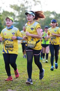 BIB: 0063, 0376
                            <button type="button" onclick="openModal(5016413)" class="btn btn-primary btn-sm float-right btn-popup" data-toggle="modal" data-target=".modal-high-quality">
                        <i class="fas fa-shopping-cart"></i> Add to Cart
                    </button>
                                            <button type="button" onclick="isThisMe(5016413, true)" class="btn btn-success btn-sm float-right btn-popup btn-isme hidden" data-toggle="tooltip" data-placement="bottom" title="นี่คือรูปของคุณใช่ไหม คลิกที่นี่เพื่อเอาเข้าอัลบั้ม">
                        <i class="fas fa-plus"></i> Add to album
                    </button>
                    <button type="button" onclick="isThisMe(5016413, false)" class="btn btn-warning btn-sm float-right btn-popup btn-isnotme hidden">
                        <i class="fas fa-ban"></i> Remove from album
                    </button>