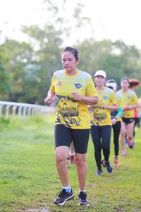 BIB: 0179
                            <button type="button" onclick="openModal(4925772)" class="btn btn-primary btn-sm float-right btn-popup" data-toggle="modal" data-target=".modal-high-quality">
                        <i class="fas fa-shopping-cart"></i> Add to Cart
                    </button>
                                            <button type="button" onclick="isThisMe(4925772, true)" class="btn btn-success btn-sm float-right btn-popup btn-isme hidden" data-toggle="tooltip" data-placement="bottom" title="นี่คือรูปของคุณใช่ไหม คลิกที่นี่เพื่อเอาเข้าอัลบั้ม">
                        <i class="fas fa-plus"></i> Add to album
                    </button>
                    <button type="button" onclick="isThisMe(4925772, false)" class="btn btn-warning btn-sm float-right btn-popup btn-isnotme hidden">
                        <i class="fas fa-ban"></i> Remove from album
                    </button>