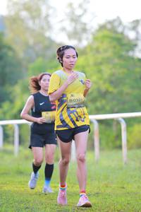 BIB: 0321, 
                            <button type="button" onclick="openModal(4909491)" class="btn btn-primary btn-sm float-right btn-popup" data-toggle="modal" data-target=".modal-high-quality">
                        <i class="fas fa-shopping-cart"></i> Add to Cart
                    </button>
                                            <button type="button" onclick="isThisMe(4909491, true)" class="btn btn-success btn-sm float-right btn-popup btn-isme hidden" data-toggle="tooltip" data-placement="bottom" title="นี่คือรูปของคุณใช่ไหม คลิกที่นี่เพื่อเอาเข้าอัลบั้ม">
                        <i class="fas fa-plus"></i> Add to album
                    </button>
                    <button type="button" onclick="isThisMe(4909491, false)" class="btn btn-warning btn-sm float-right btn-popup btn-isnotme hidden">
                        <i class="fas fa-ban"></i> Remove from album
                    </button>