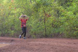 BIB: 
                            <button type="button" onclick="openModal(5219021)" class="btn btn-primary btn-sm float-right btn-popup" data-toggle="modal" data-target=".modal-high-quality">
                        <i class="fas fa-shopping-cart"></i> Add to Cart
                    </button>
                                            <button type="button" onclick="isThisMe(5219021, true)" class="btn btn-success btn-sm float-right btn-popup btn-isme hidden" data-toggle="tooltip" data-placement="bottom" title="นี่คือรูปของคุณใช่ไหม คลิกที่นี่เพื่อเอาเข้าอัลบั้ม">
                        <i class="fas fa-plus"></i> Add to album
                    </button>
                    <button type="button" onclick="isThisMe(5219021, false)" class="btn btn-warning btn-sm float-right btn-popup btn-isnotme hidden">
                        <i class="fas fa-ban"></i> Remove from album
                    </button>