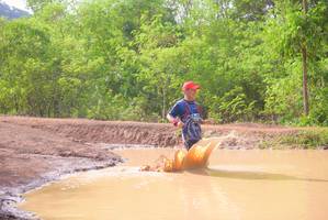 BIB: 
                            <button type="button" onclick="openModal(5194875)" class="btn btn-primary btn-sm float-right btn-popup" data-toggle="modal" data-target=".modal-high-quality">
                        <i class="fas fa-shopping-cart"></i> Add to Cart
                    </button>
                                            <button type="button" onclick="isThisMe(5194875, true)" class="btn btn-success btn-sm float-right btn-popup btn-isme hidden" data-toggle="tooltip" data-placement="bottom" title="นี่คือรูปของคุณใช่ไหม คลิกที่นี่เพื่อเอาเข้าอัลบั้ม">
                        <i class="fas fa-plus"></i> Add to album
                    </button>
                    <button type="button" onclick="isThisMe(5194875, false)" class="btn btn-warning btn-sm float-right btn-popup btn-isnotme hidden">
                        <i class="fas fa-ban"></i> Remove from album
                    </button>