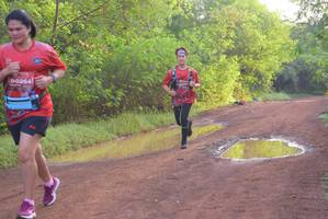 BIB: 0264
                            <button type="button" onclick="openModal(5172656)" class="btn btn-primary btn-sm float-right btn-popup" data-toggle="modal" data-target=".modal-high-quality">
                        <i class="fas fa-shopping-cart"></i> Add to Cart
                    </button>
                                            <button type="button" onclick="isThisMe(5172656, true)" class="btn btn-success btn-sm float-right btn-popup btn-isme hidden" data-toggle="tooltip" data-placement="bottom" title="นี่คือรูปของคุณใช่ไหม คลิกที่นี่เพื่อเอาเข้าอัลบั้ม">
                        <i class="fas fa-plus"></i> Add to album
                    </button>
                    <button type="button" onclick="isThisMe(5172656, false)" class="btn btn-warning btn-sm float-right btn-popup btn-isnotme hidden">
                        <i class="fas fa-ban"></i> Remove from album
                    </button>