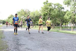 BIB: 
                            <button type="button" onclick="openModal(5236171)" class="btn btn-primary btn-sm float-right btn-popup" data-toggle="modal" data-target=".modal-high-quality">
                        <i class="fas fa-shopping-cart"></i> Add to Cart
                    </button>
                                            <button type="button" onclick="isThisMe(5236171, true)" class="btn btn-success btn-sm float-right btn-popup btn-isme hidden" data-toggle="tooltip" data-placement="bottom" title="นี่คือรูปของคุณใช่ไหม คลิกที่นี่เพื่อเอาเข้าอัลบั้ม">
                        <i class="fas fa-plus"></i> Add to album
                    </button>
                    <button type="button" onclick="isThisMe(5236171, false)" class="btn btn-warning btn-sm float-right btn-popup btn-isnotme hidden">
                        <i class="fas fa-ban"></i> Remove from album
                    </button>