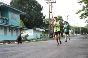 BIB: 
                            <button type="button" onclick="openModal(5231563)" class="btn btn-primary btn-sm float-right btn-popup" data-toggle="modal" data-target=".modal-high-quality">
                        <i class="fas fa-shopping-cart"></i> Add to Cart
                    </button>
                                            <button type="button" onclick="isThisMe(5231563, true)" class="btn btn-success btn-sm float-right btn-popup btn-isme hidden" data-toggle="tooltip" data-placement="bottom" title="นี่คือรูปของคุณใช่ไหม คลิกที่นี่เพื่อเอาเข้าอัลบั้ม">
                        <i class="fas fa-plus"></i> Add to album
                    </button>
                    <button type="button" onclick="isThisMe(5231563, false)" class="btn btn-warning btn-sm float-right btn-popup btn-isnotme hidden">
                        <i class="fas fa-ban"></i> Remove from album
                    </button>