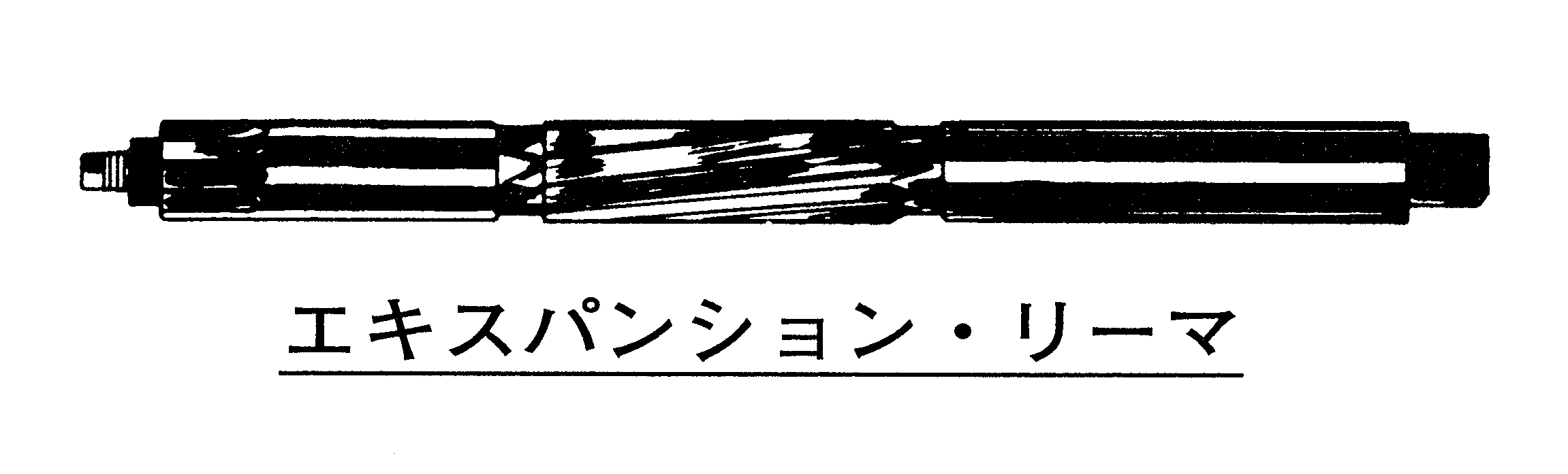 エキスパンション・リーマとは オートモーティブ・ジョブズ