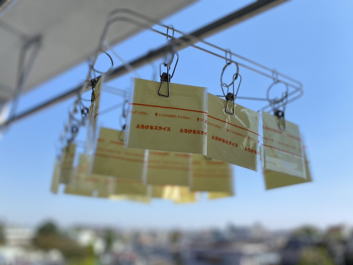 これはキムチ汁がかかったため水洗いして干されたチーズの写真 