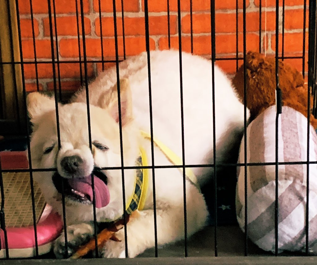 顔ｗｗｗｗｗｗｗｗｗｗｗｗｗｗｗｗｗｗｗｗｗ 