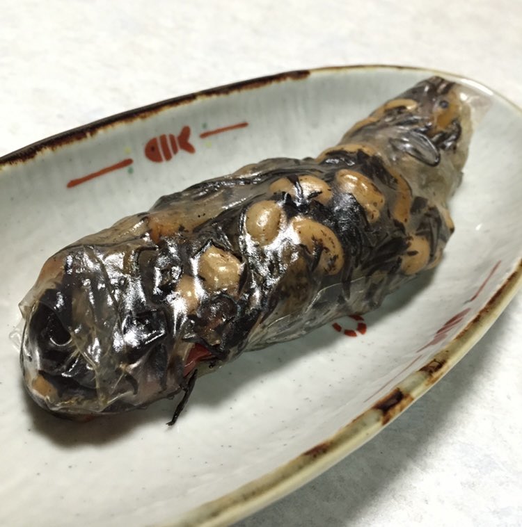 好きなの詰めていいよと言われてひじきの煮物巻いて怖がられたやつ 