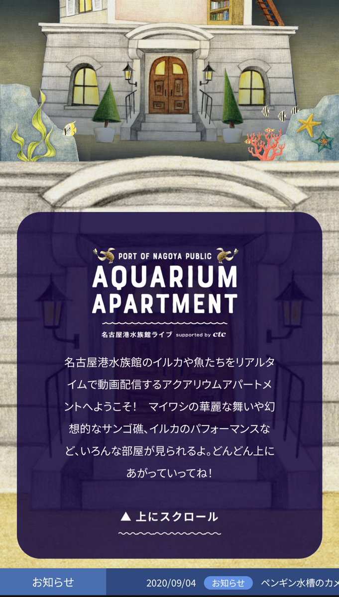 うわあ、名古屋港水族館がライブ配信してて24時間水槽見れる、イルカプールも見れる