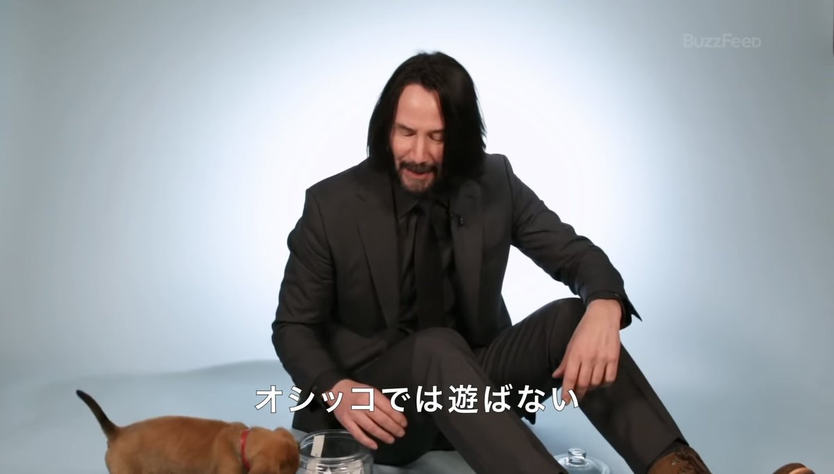 大好きな仔犬と戯れながら 急に正気に戻るキアヌ 