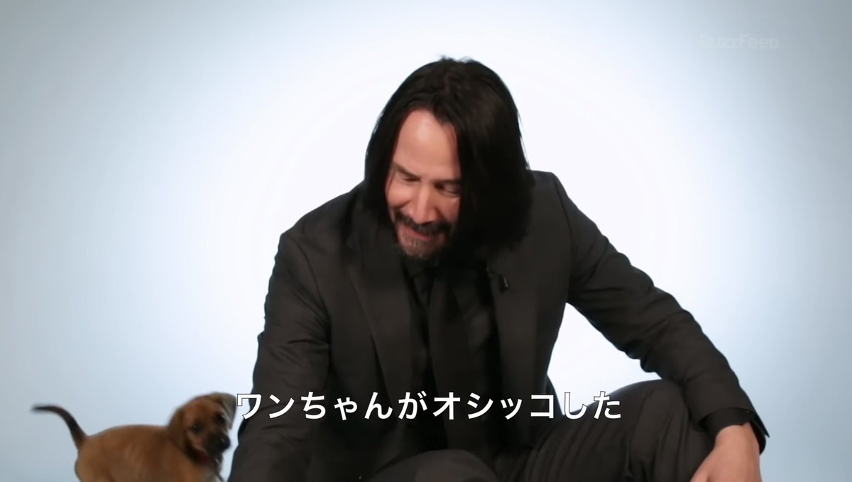 大好きな仔犬と戯れながら 急に正気に戻るキアヌ 